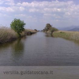 Lago di Massaciuccoli, un canale