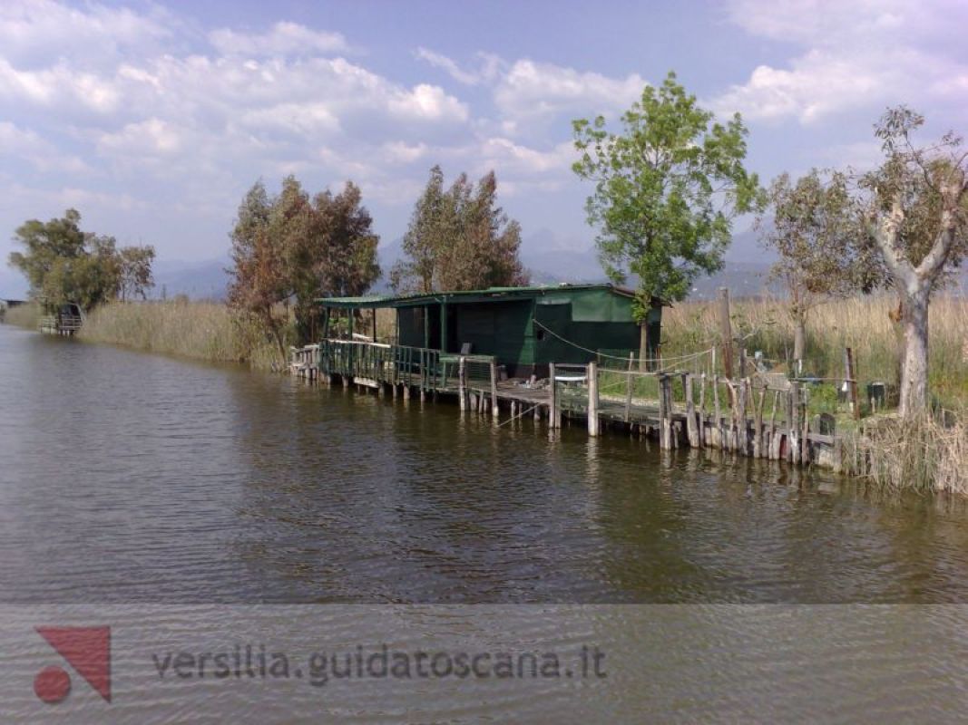 Lago Massaciuccoli